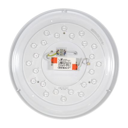 Fulgur 27474 - LED Stropní svítidlo LINA LED/24W/230V 4000K