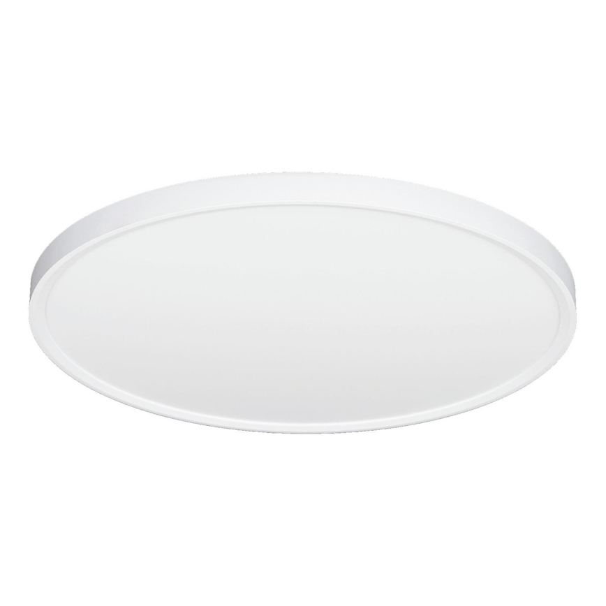 Fulgur 42363 - LED Stropní svítidlo NOMY LED/40W/230V 3000/4000/6000K IP40 pr. 50 cm bílá