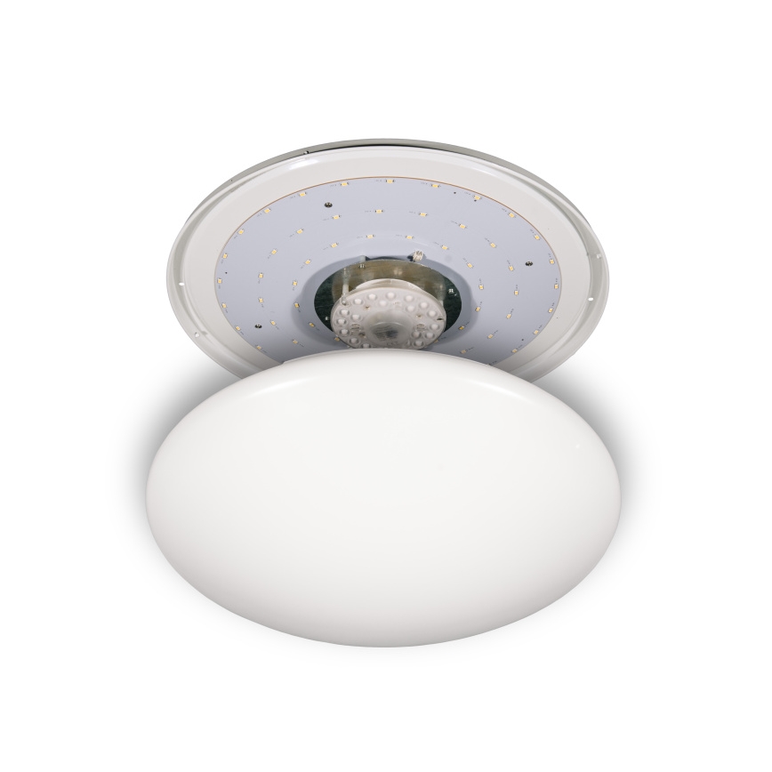 Fulgur s-24465 - LED Stropní svítidlo ANETA DUAL LED/36W/230V + LED/10W 4000K pr. 50 cm