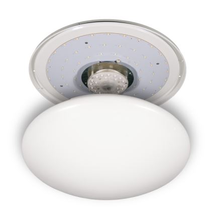 Fulgur s-24466 - LED Stropní svítidlo ANETA DUAL LED/36W/230V + LED/10W 3000K pr. 50 cm