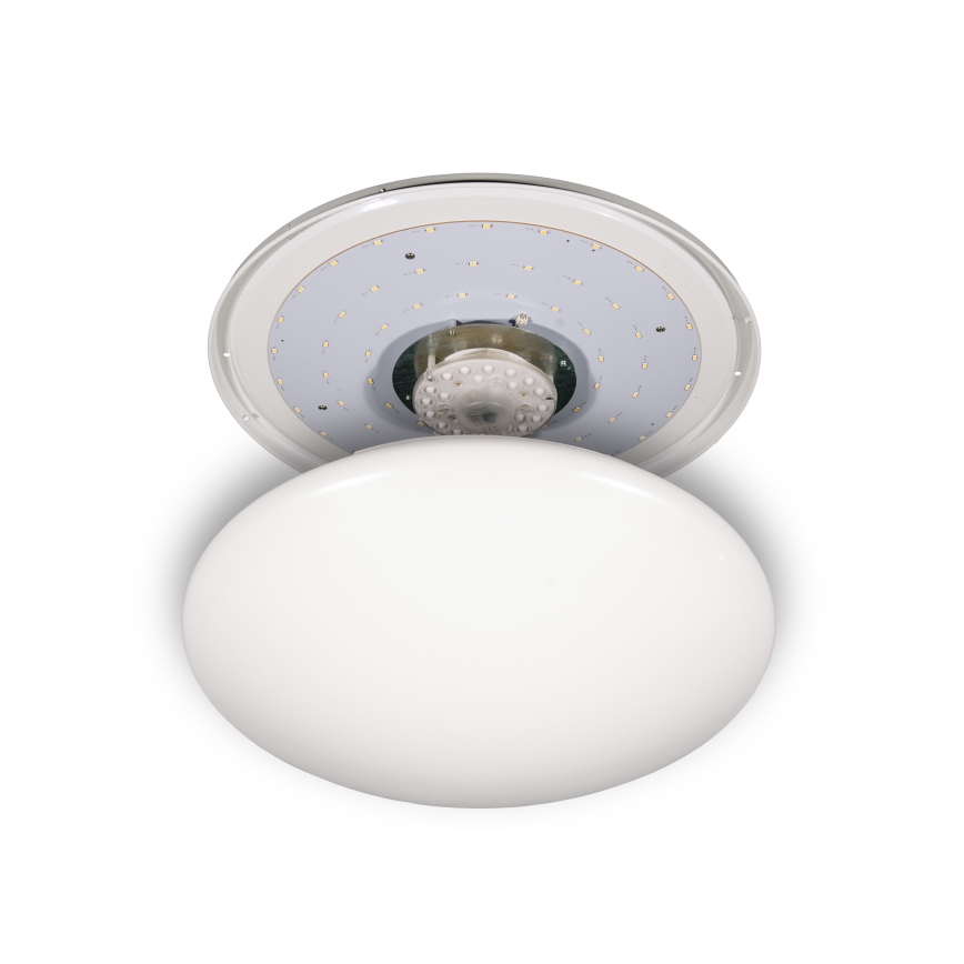 Fulgur s-24466 - LED Stropní svítidlo ANETA DUAL LED/36W/230V + LED/10W 3000K pr. 50 cm