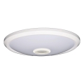 Fulgur s-39670 - LED Nouzové svítidlo se senzorem pohybu a soumraku DARINA LED/16W/230V pr. 29 cm