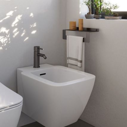 Gedy - Polička s věšákem na ručníky CLEO 30 cm metalicky šedá