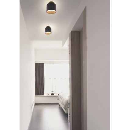 Globo - LED Stropní svítidlo LED/8W/230V + LED/4W/230V