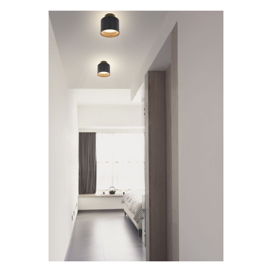 Globo - LED Stropní svítidlo LED/8W/230V + LED/4W/230V