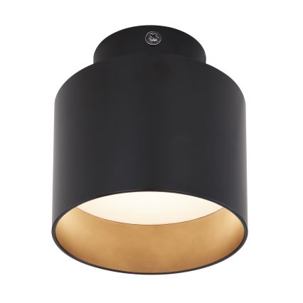 Globo - LED Stropní svítidlo LED/8W/230V + LED/4W/230V