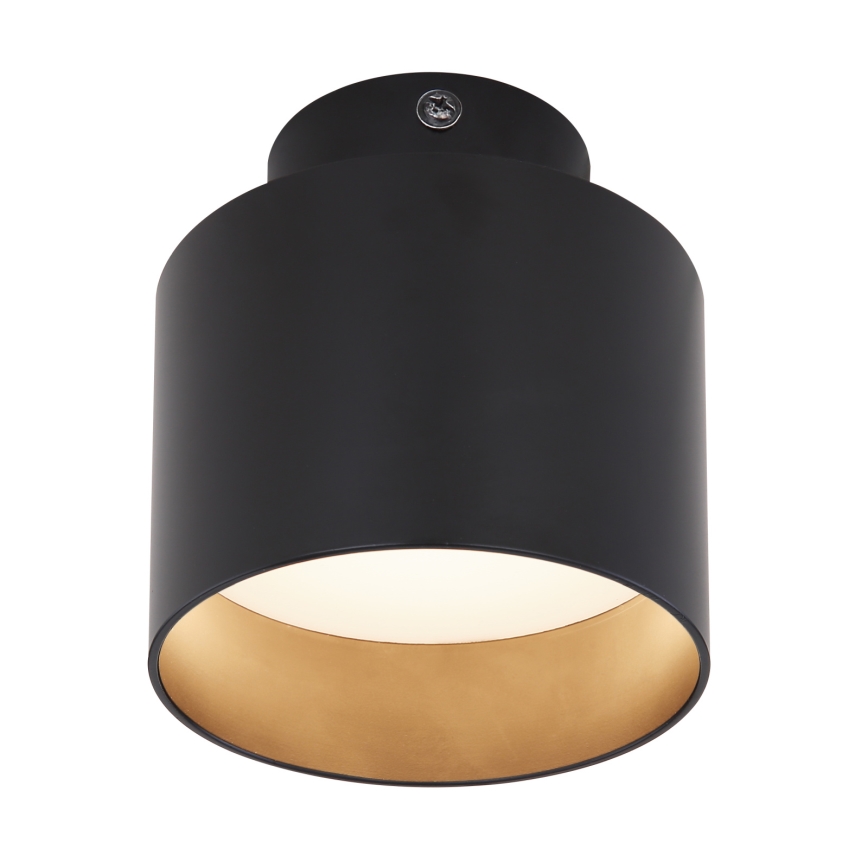 Globo - LED Stropní svítidlo LED/8W/230V + LED/4W/230V