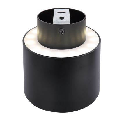 Globo - LED Stropní svítidlo LED/8W/230V + LED/4W/230V