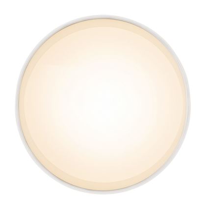 Globo - LED Stropní svítidlo LED/8W/230V