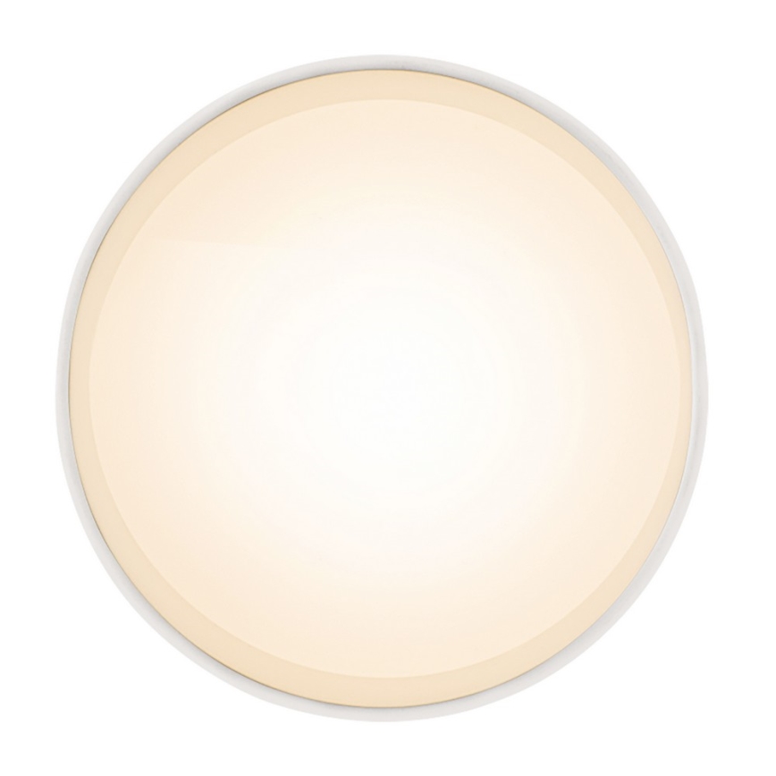 Globo - LED Stropní svítidlo LED/8W/230V
