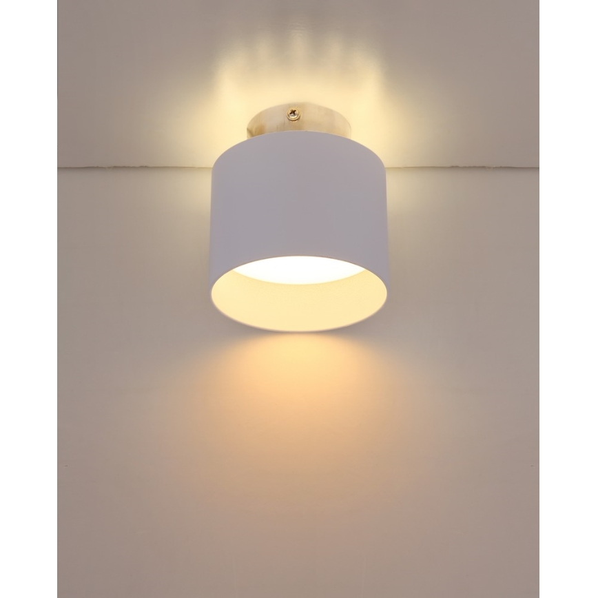 Globo - LED Stropní svítidlo LED/8W/230V