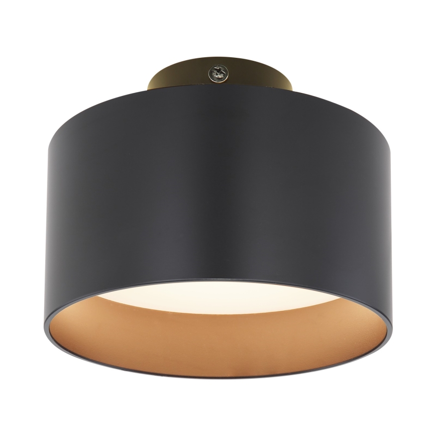 Globo - LED Stropní svítidlo LED/16W/230V