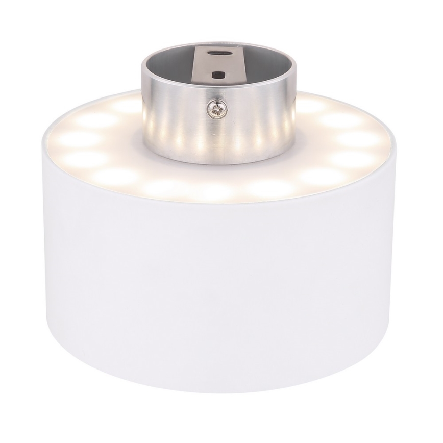 Globo - LED Stropní svítidlo LED/16W/230V