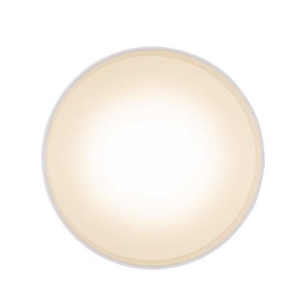 Globo - LED Stropní svítidlo LED/16W/230V