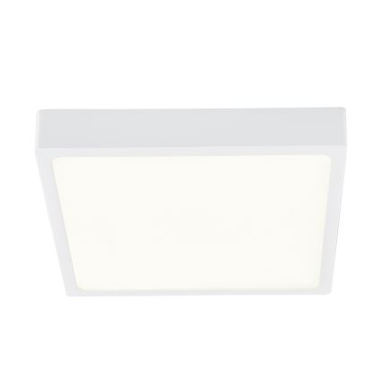 Globo - LED Stmívatelné stropní svítidlo LED/15W/230V