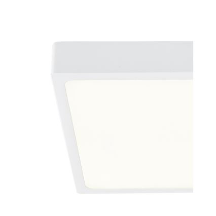 Globo - LED Stmívatelné stropní svítidlo LED/15W/230V
