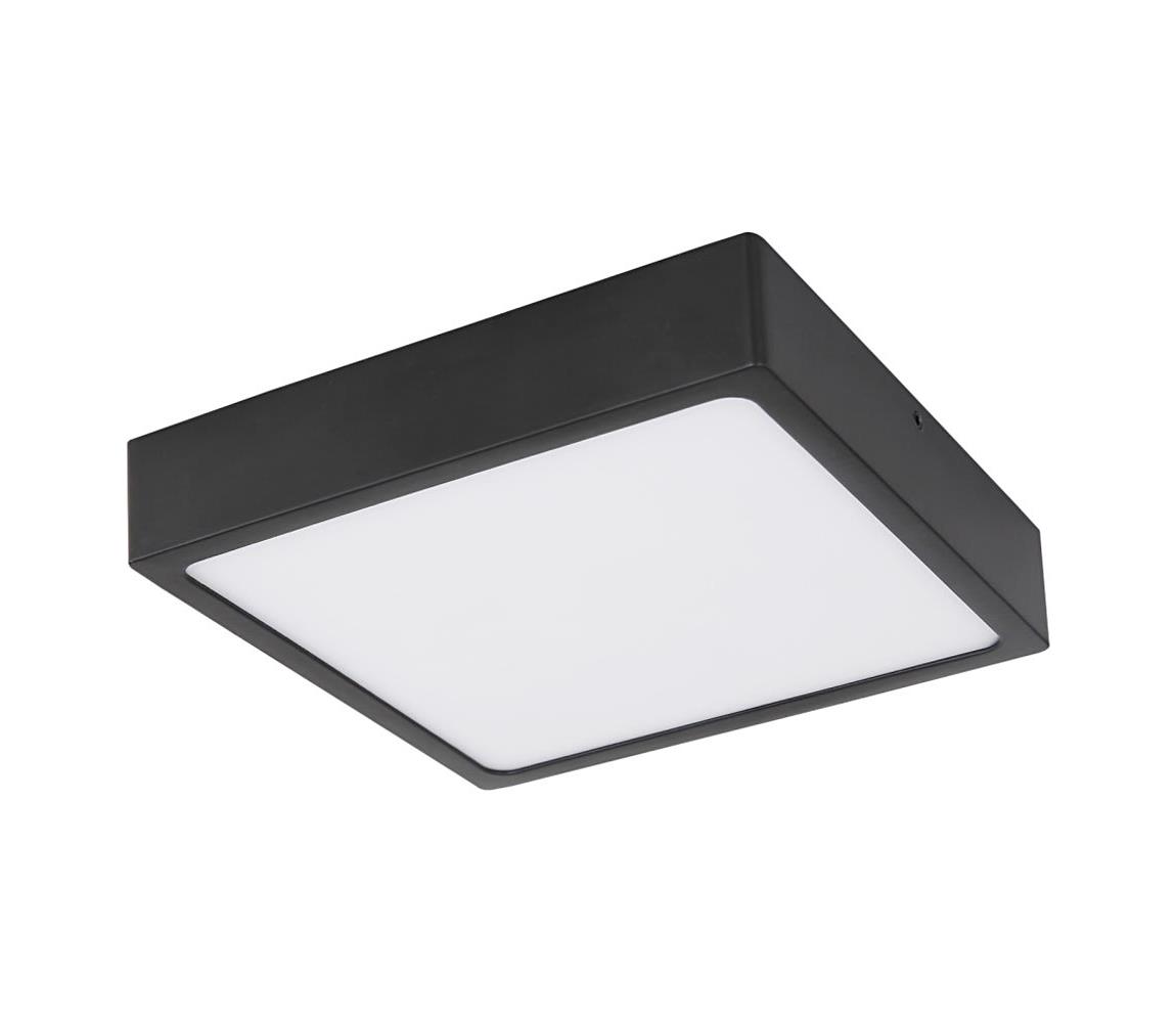 Globo Globo 12369-15 - LED Stropní svítidlo ECHO LED/15W/230V GL5596
