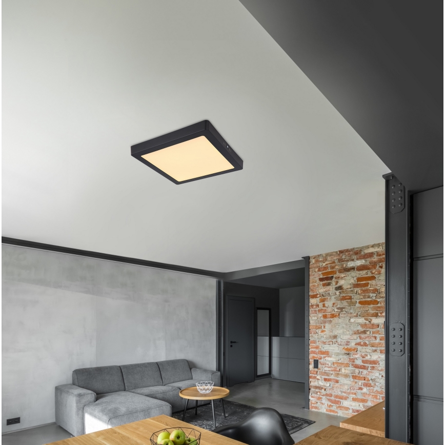 Globo - LED Stropní svítidlo LED/22W/230V