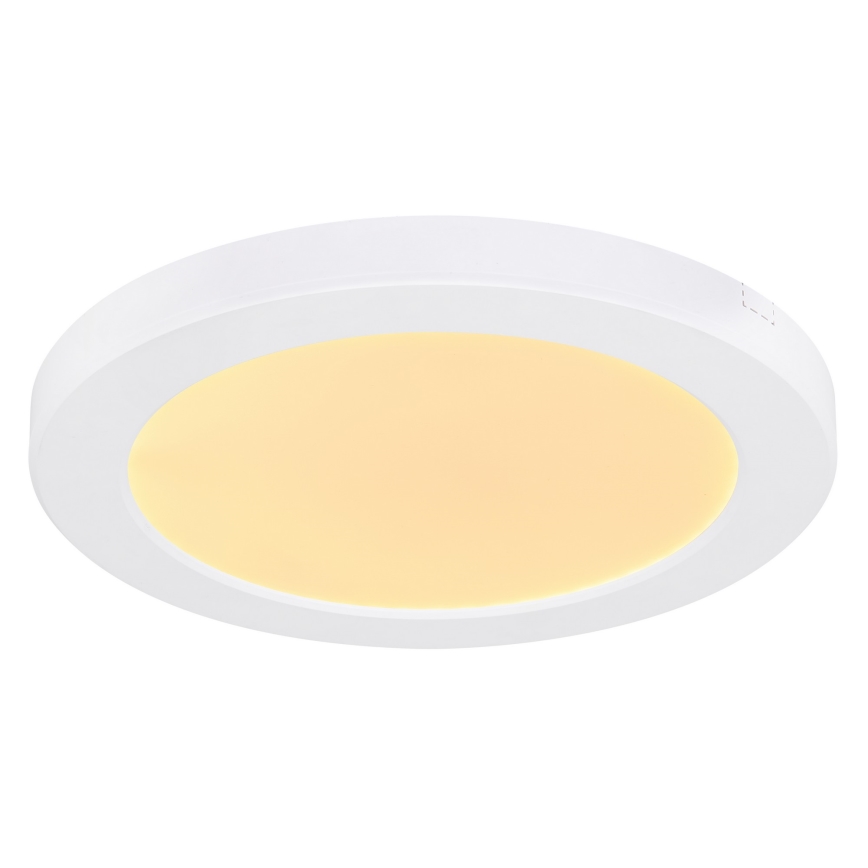 Globo - LED Stropní svítidlo LED/18W/230V 3000/4000/6500K bílá