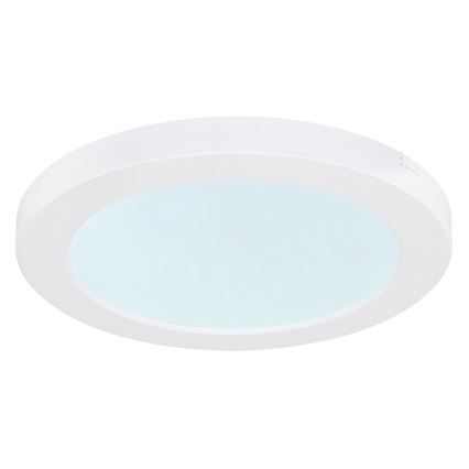 Globo - LED Stropní svítidlo LED/18W/230V 3000/4000/6500K bílá