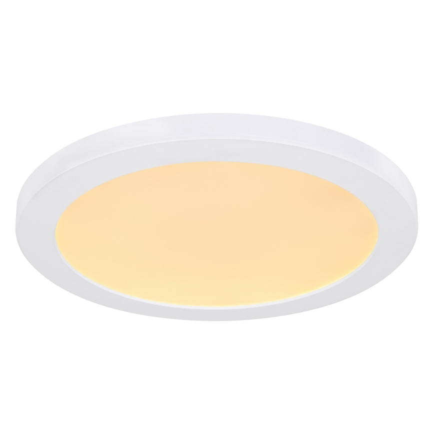 Globo - LED Stropní svítidlo LED/24W/230V 3000/4000/6500K bílá
