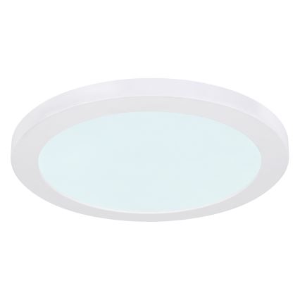 Globo - LED Stropní svítidlo LED/24W/230V 3000/4000/6500K bílá