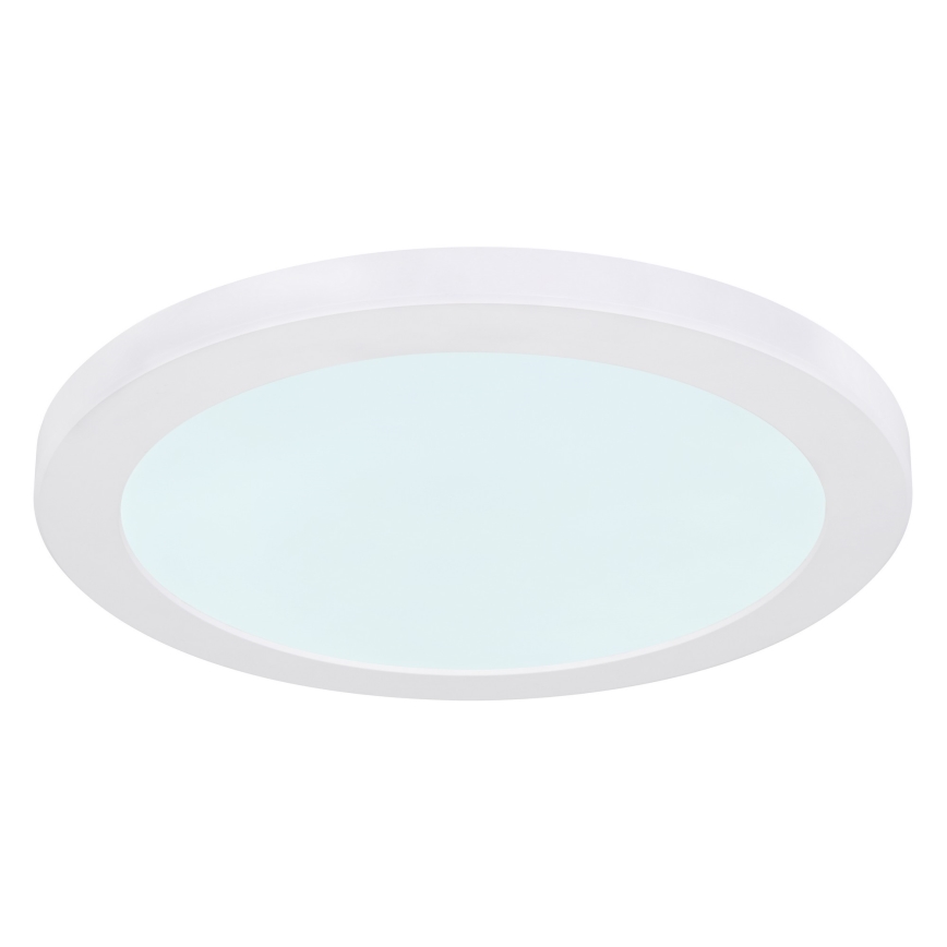 Globo - LED Stropní svítidlo LED/24W/230V 3000/4000/6500K bílá