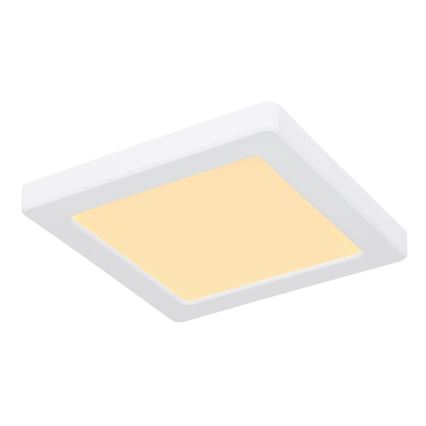 Globo - LED Stropní svítidlo LED/12W/230V 3000/4000/6500K bílá