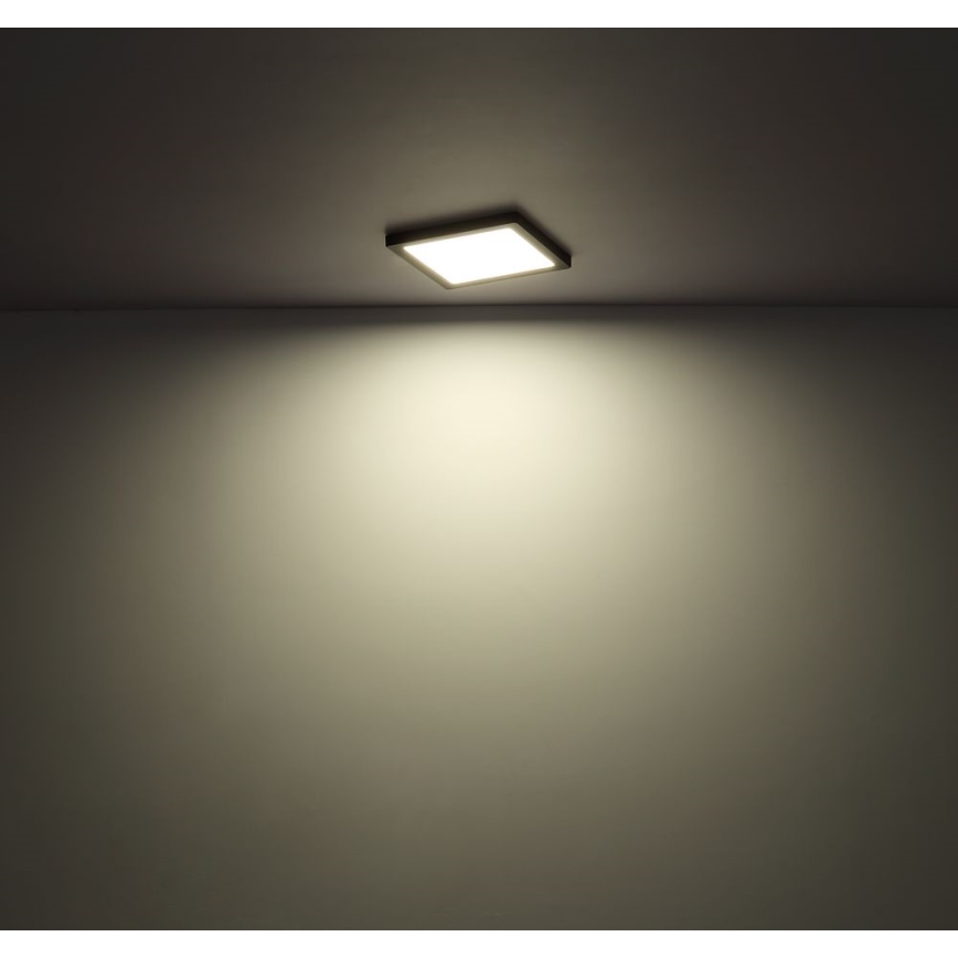 Globo - LED Stropní svítidlo LED/24W/230V 3000/4000/6500K černá