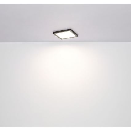 Globo - LED Stropní svítidlo LED/24W/230V 3000/4000/6500K černá