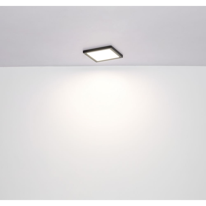 Globo - LED Stropní svítidlo LED/24W/230V 3000/4000/6500K černá