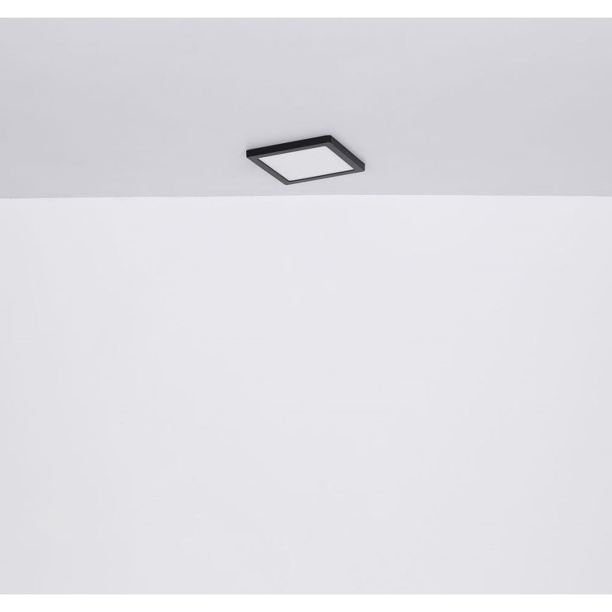 Globo - LED Stropní svítidlo LED/24W/230V 3000/4000/6500K černá