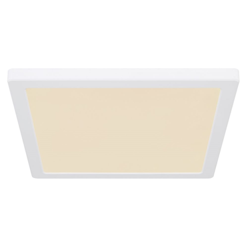 Globo - LED Stropní svítidlo LED/24W/230V 3000/4000/6500K bílá