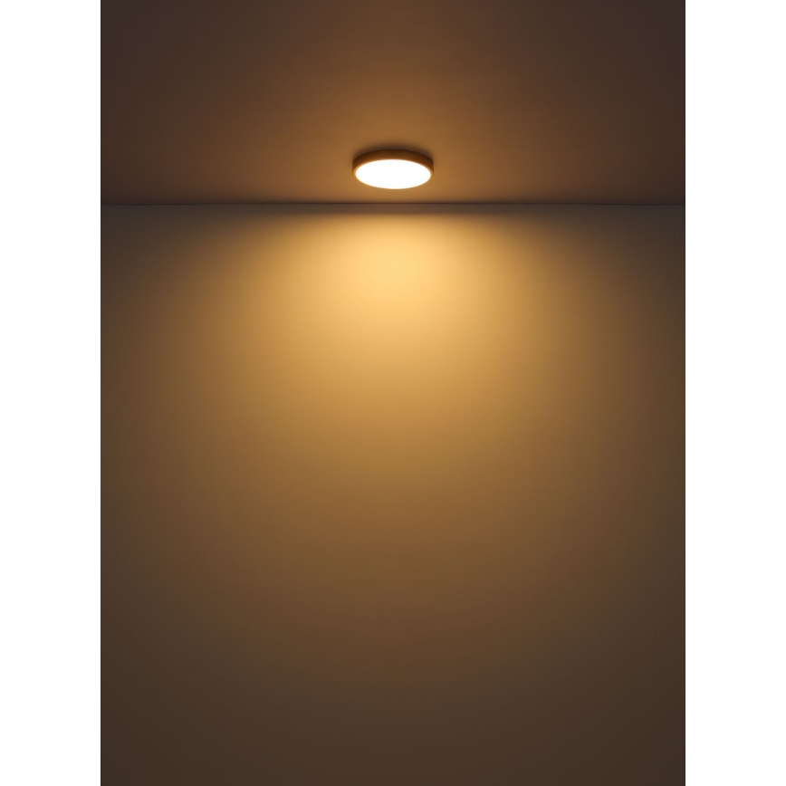 Globo - LED Stropní svítidlo LED/15W/230V pr. 25 cm