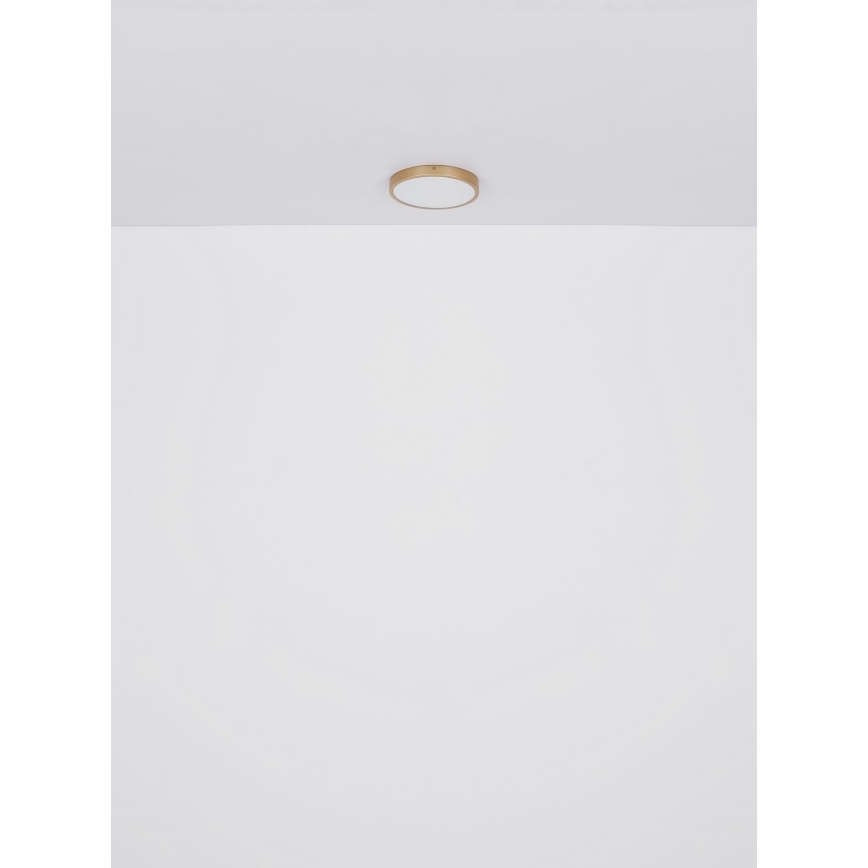Globo - LED Stropní svítidlo LED/15W/230V pr. 25 cm