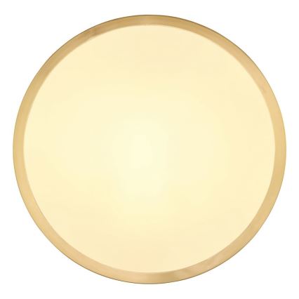 Globo - LED Stropní svítidlo LED/15W/230V pr. 25 cm