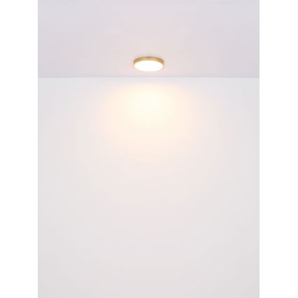 Globo - LED Stropní svítidlo LED/22W/230V pr. 35 cm