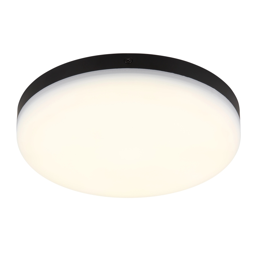 Globo - LED Stropní svítidlo LED/12W/230V 4000K pr. 22 cm černá