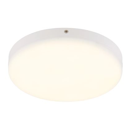 Globo - LED Stropní svítidlo LED/12W/230V 4000K pr. 22 cm bílá
