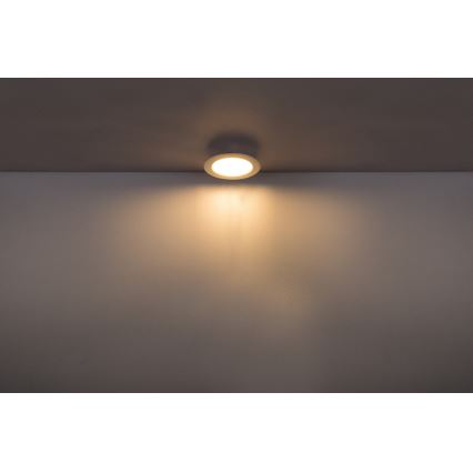 Globo - Podhledové svítidlo 1xLED/15W/230V IP20