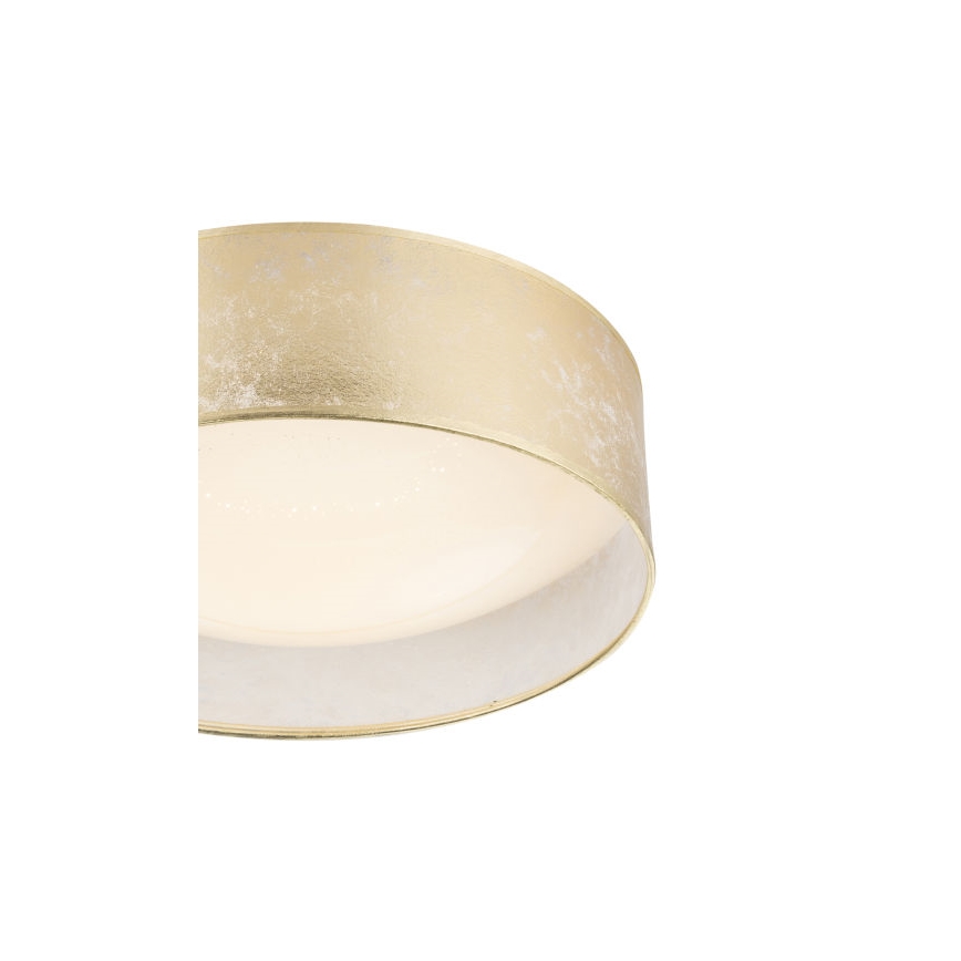 Globo - LED Stropní svítidlo LED/18W/230V