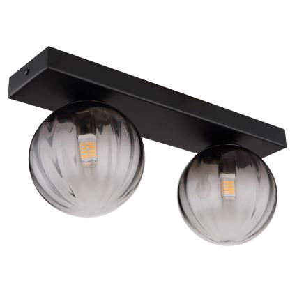 Globo - Stropní svítidlo 2xG9/10W/230V