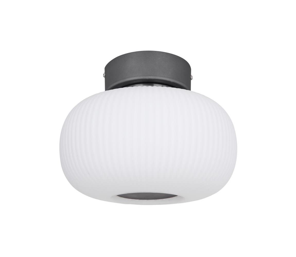 Globo Globo 15437D - LED Stropní svítidlo BOOMER LED/12W/230V GL6139