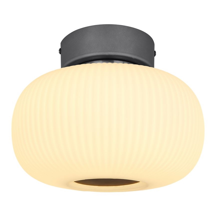 Globo - LED Stropní svítidlo LED/12W/230V