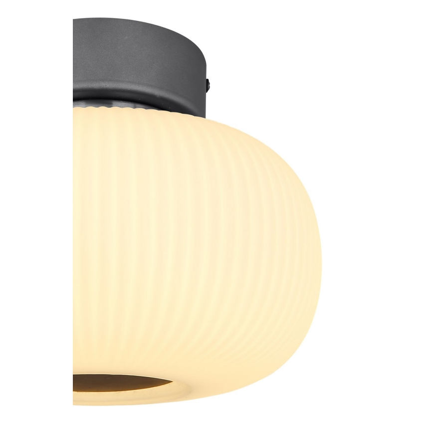 Globo - LED Stropní svítidlo LED/12W/230V