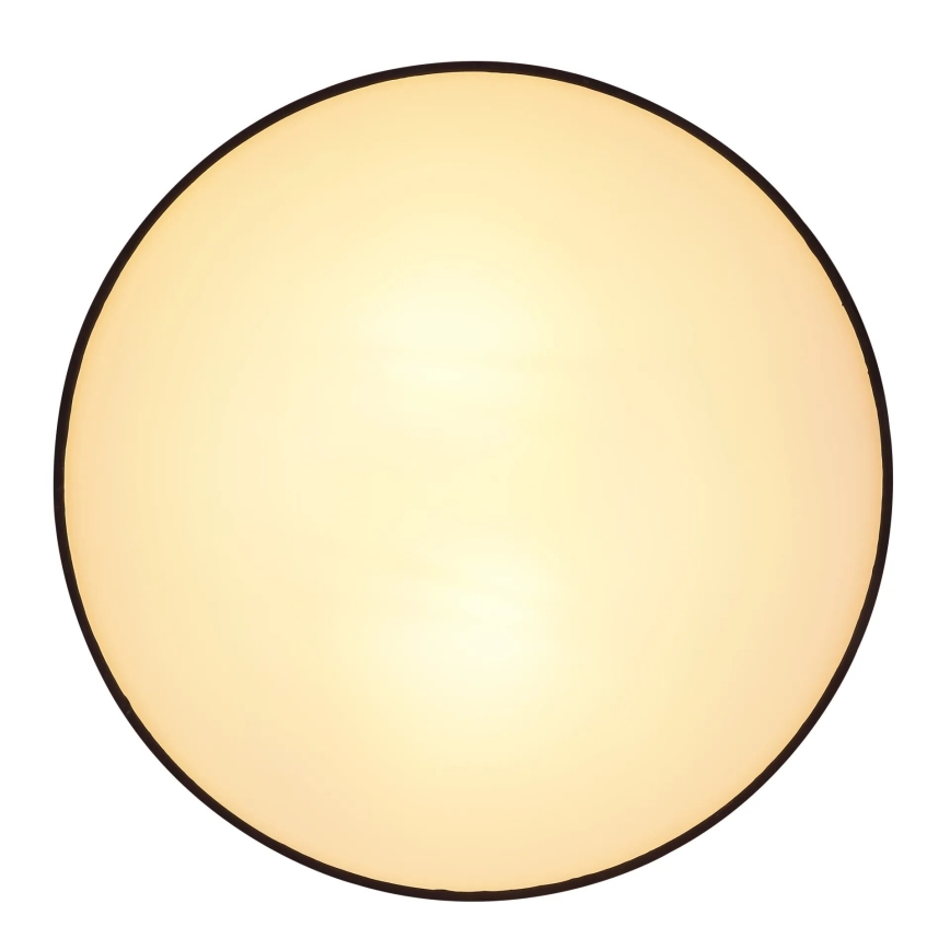 Globo 15582D - Stropní svítidlo INGEBORG 2xE27/15W/230V