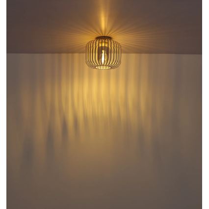 Globo - Stropní svítidlo 1xE27/40W/230V pr. 28 cm