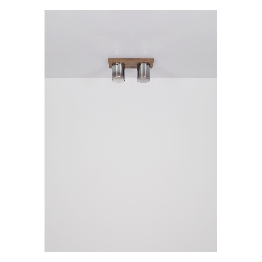 Globo - Stropní svítidlo 2xE27/40W/230V