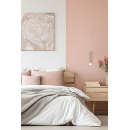 Globo - LED Stmívatelné dotykové nabíjecí svítidlo 2v1  LED/2W/230/5V