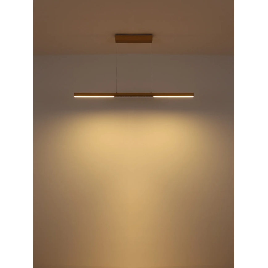 Globo - LED Lustr na lanku LED/24W/230V 3000K